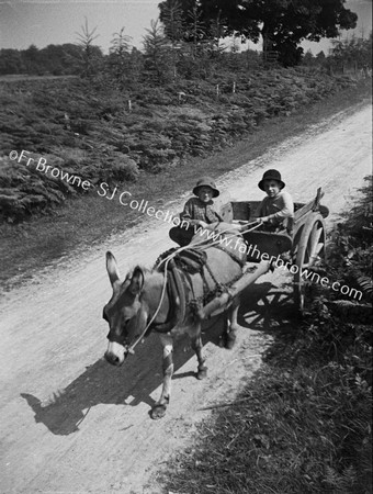 DONKEY AND CART WITH CHILDREN